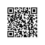 199D226X06R3C1V1E3 QRCode