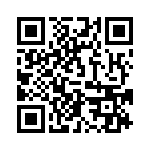 20101250001P QRCode