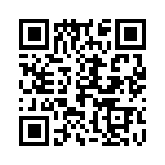 21032411300 QRCode