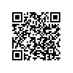 2225J0250334MXT QRCode