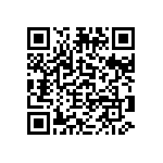 2225J1K00333KXT QRCode