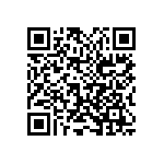 2225Y0160275KXT QRCode