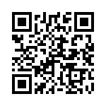 250R05L100GV4T QRCode