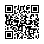 250R05L130GV4T QRCode