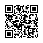 250R05L1R3BV4T QRCode