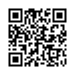 27915-30T12 QRCode