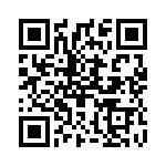 2905296 QRCode