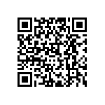 2T09I50QDBVRG4Q QRCode