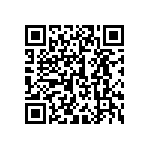 300AWSP1J6BLKVS2QE QRCode