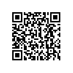 300DP1R2BLKM1QE QRCode