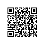 300SP4R1BLKVS2QE QRCode