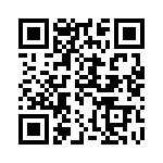 300X11399X QRCode