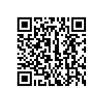 316-83-125-41-013101 QRCode