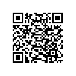 316-87-161-41-013101 QRCode