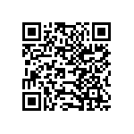 333-020-541-202 QRCode