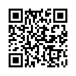 353NB3A491T QRCode