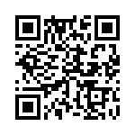 353NB3I343T QRCode