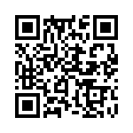 353NB5C491T QRCode