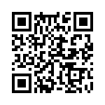 353TB3C384T QRCode