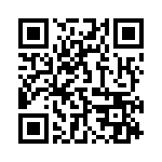 39-3 QRCode