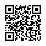 390110 QRCode