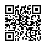 394_2C6 QRCode