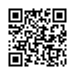 4-1734506-1 QRCode