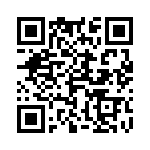 4-2176074-6 QRCode