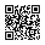 41295 QRCode