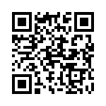 41F33R QRCode