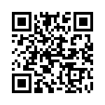 4291-4PG-300 QRCode