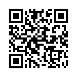 4382-4PG-300 QRCode