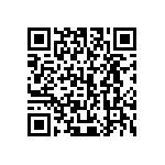 445A33B13M00000 QRCode