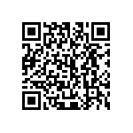 445C33E13M00000 QRCode