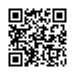 4919 QRCode