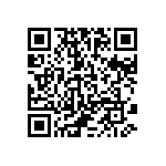 510-87-101-13-061101 QRCode