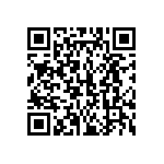 510-87-125-13-041101 QRCode