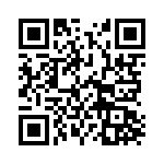513384 QRCode