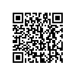 51760-10101201AA QRCode