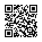 54101-T3002LF QRCode