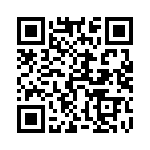 54102-T30-04 QRCode