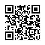 54202-T08-13 QRCode