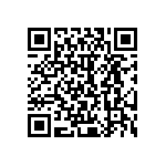 545BAA100M000BAG QRCode