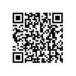 550C332T450DE2B QRCode