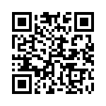 55101-G17-36 QRCode