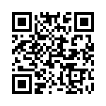 581-01-60-013 QRCode