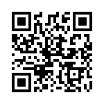 590KB-BDG QRCode