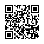 5V41065NLG QRCode