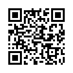 6-5175475-1 QRCode