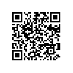 6039-004-304R-A QRCode